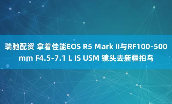 瑞驰配资 拿着佳能EOS R5 Mark II与RF100-500mm F4.5-7.1 L IS USM 镜头去新疆拍鸟