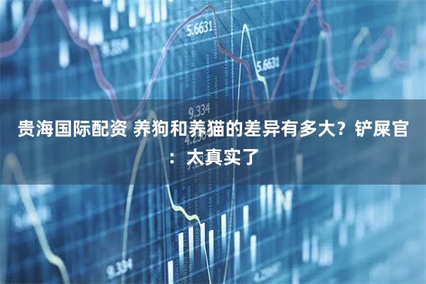 贵海国际配资 养狗和养猫的差异有多大？铲屎官：太真实了