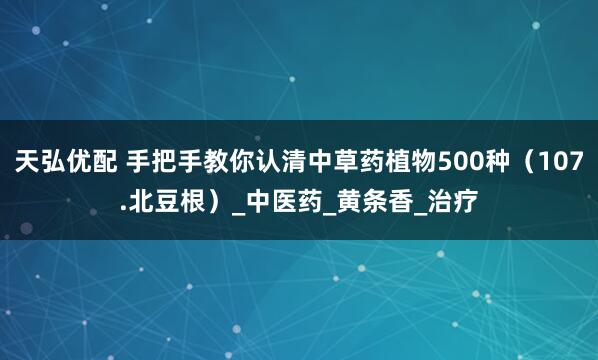 天弘优配 手把手教你认清中草药植物500种（107.北豆根）_中医药_黄条香_治疗
